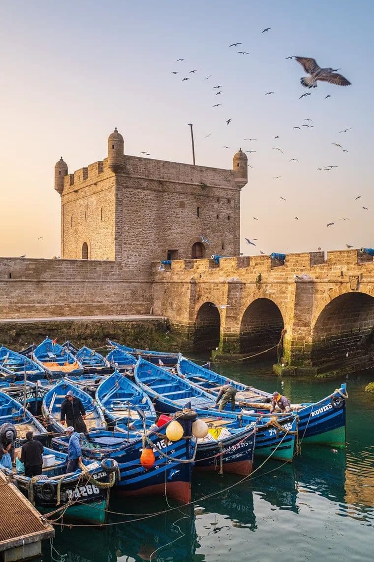 Essaouira Coastal Tour